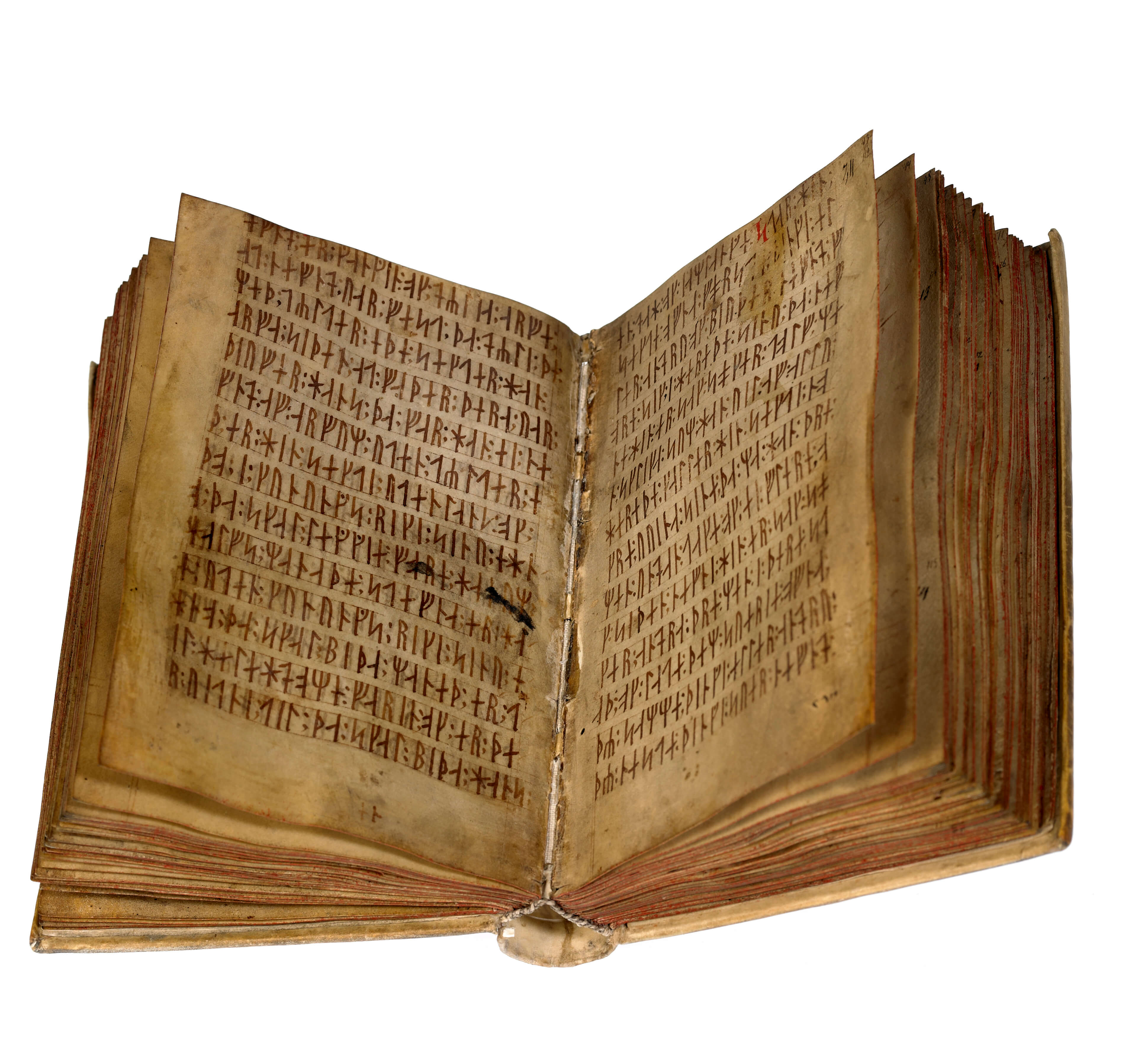 AM 28 8vo (Codex Runicus)