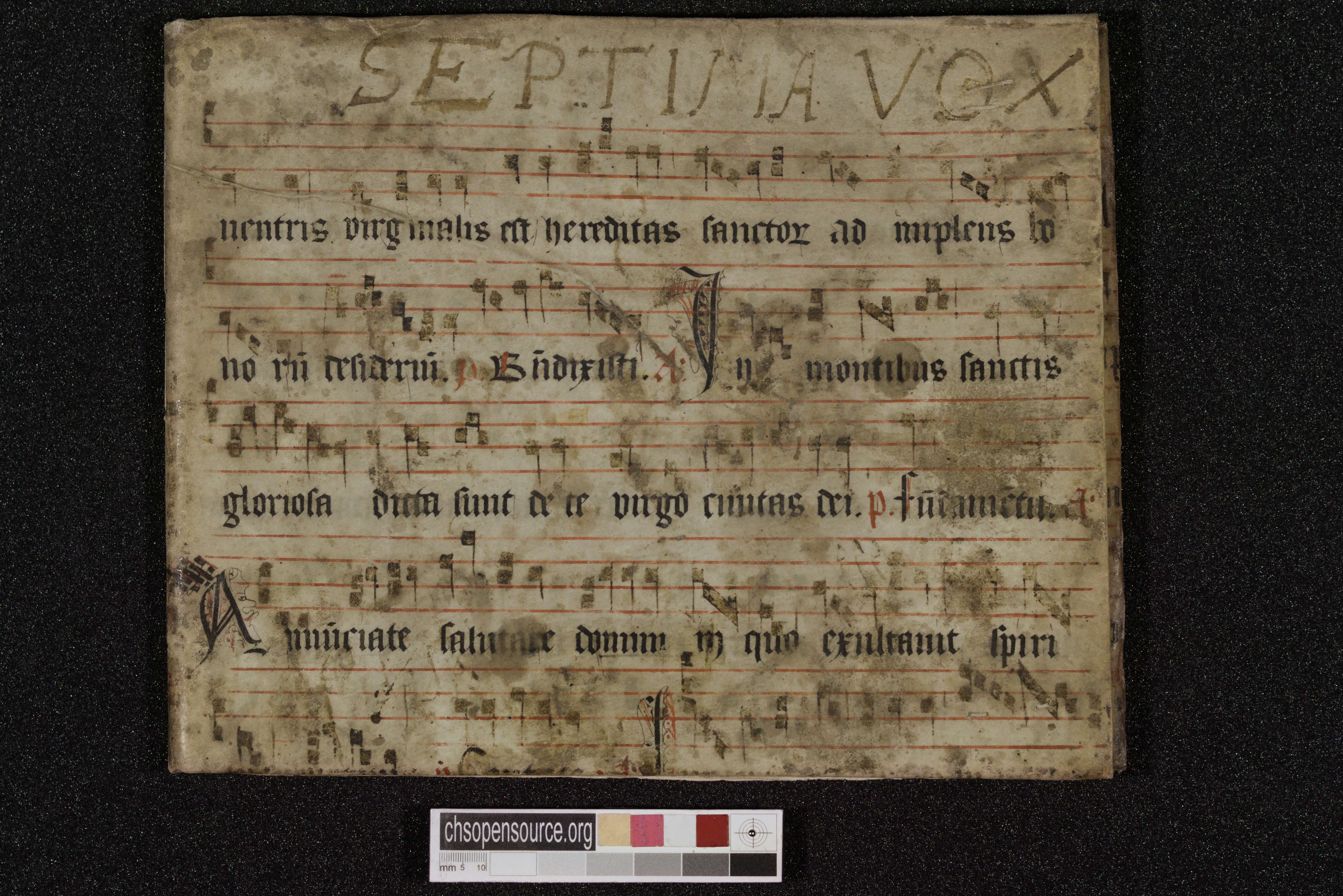 Manuscript fragment